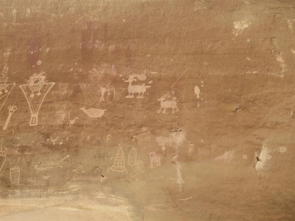 IMG_4205 (Large).JPG IMG_4205 (Large).JPG